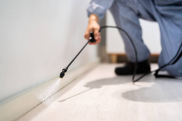 Licensed Pest Control service in Church Hill, PA - Show Me Pest Control
