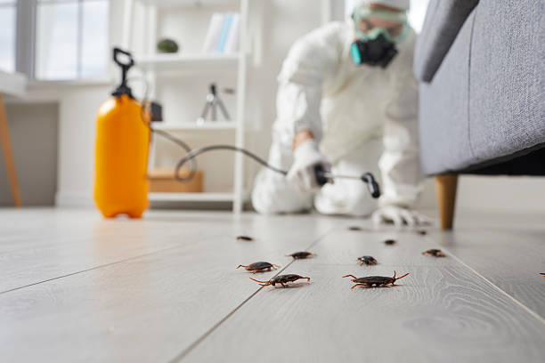 Post-Treatment Bed Bug Interceptor Monitoring in Church Hill