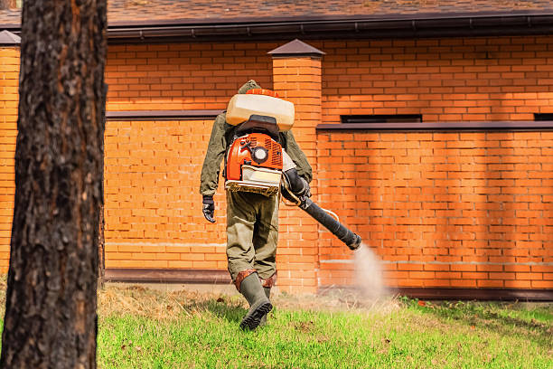 Bed Bug Clearance Verification and Documentation in Church Hill